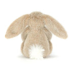 Neutral Warm Fluffy Long Eared Rabbit