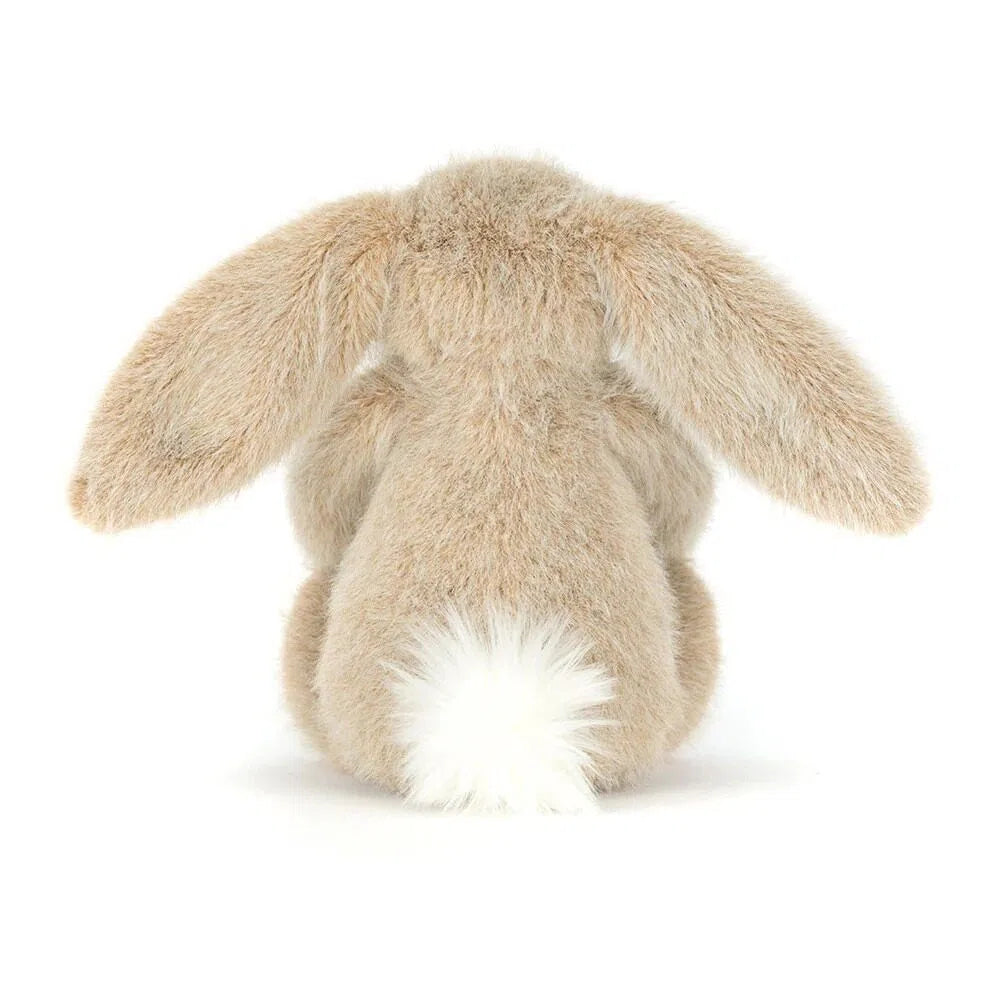 Neutral Warm Fluffy Long Eared Rabbit